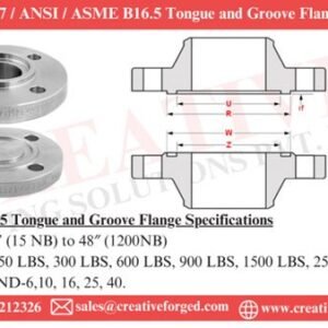 ASME/ANSI B16.5, B16.47 Tongue And Groove Flange Manufacturer