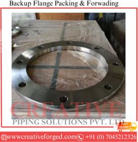 Backup Flange Packing