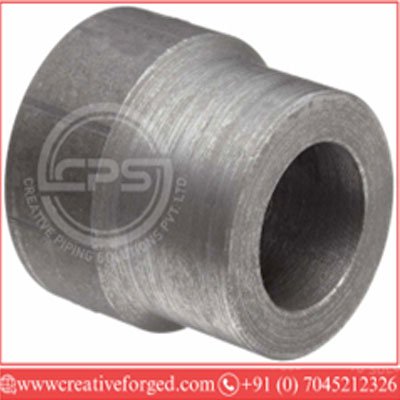 Socket Weld Reducer Insert